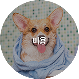 미용