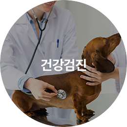 건강검진