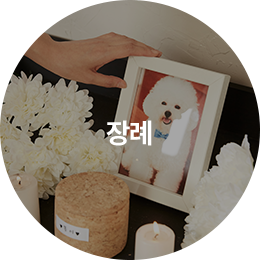 장례