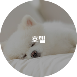 호텔